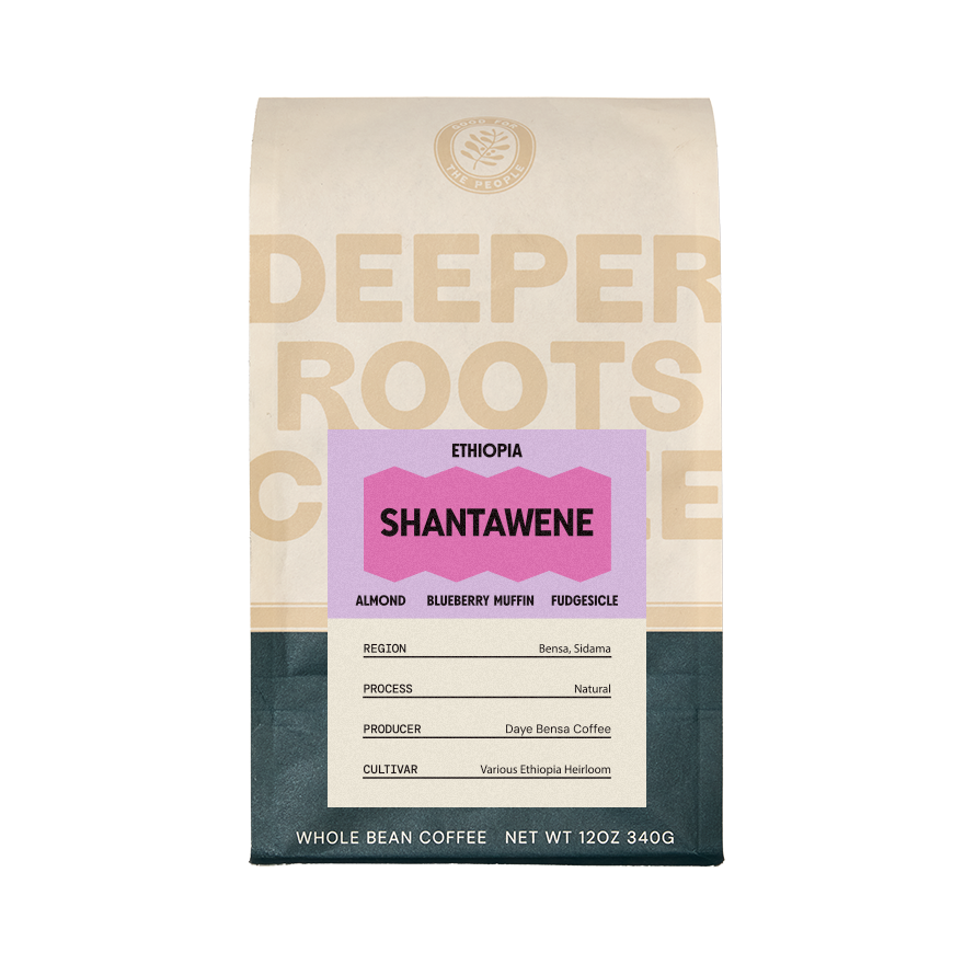 Ethiopia Shantawene 12 oz - Coffee Beans for Home and Office Brewing