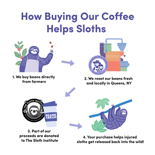 Rio Nights - Coffee Beans for Home and Office Brewing