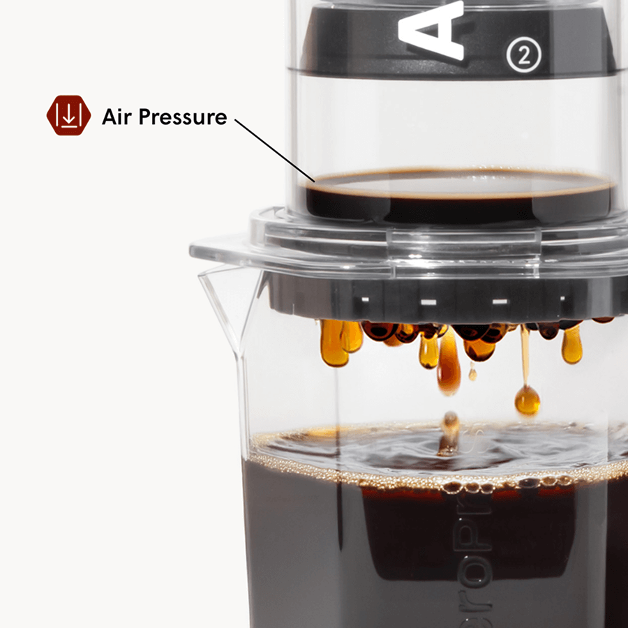 Traveler’s Bundle - Clear XL - Coffee Preparation Bundle for Flexible Recipes