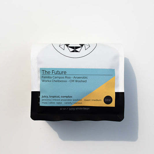 The Future 12 oz - Coffee Beans for Home and Office Brewing
