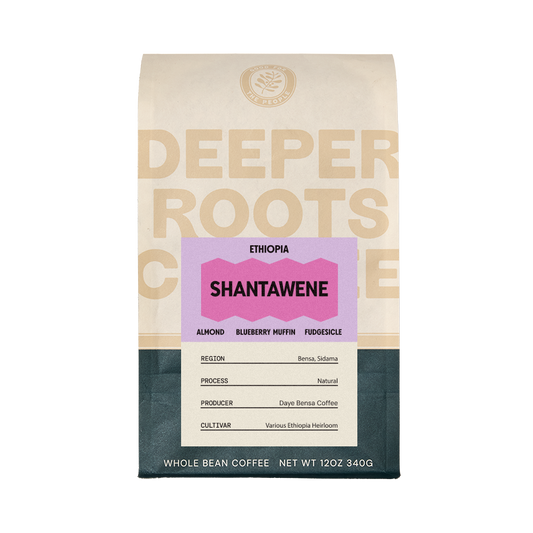 Ethiopia Shantawene 12 oz - Coffee Beans for Home and Office Brewing