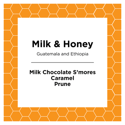 Milk & Honey - Coffee Beans for Home and Office Brewing