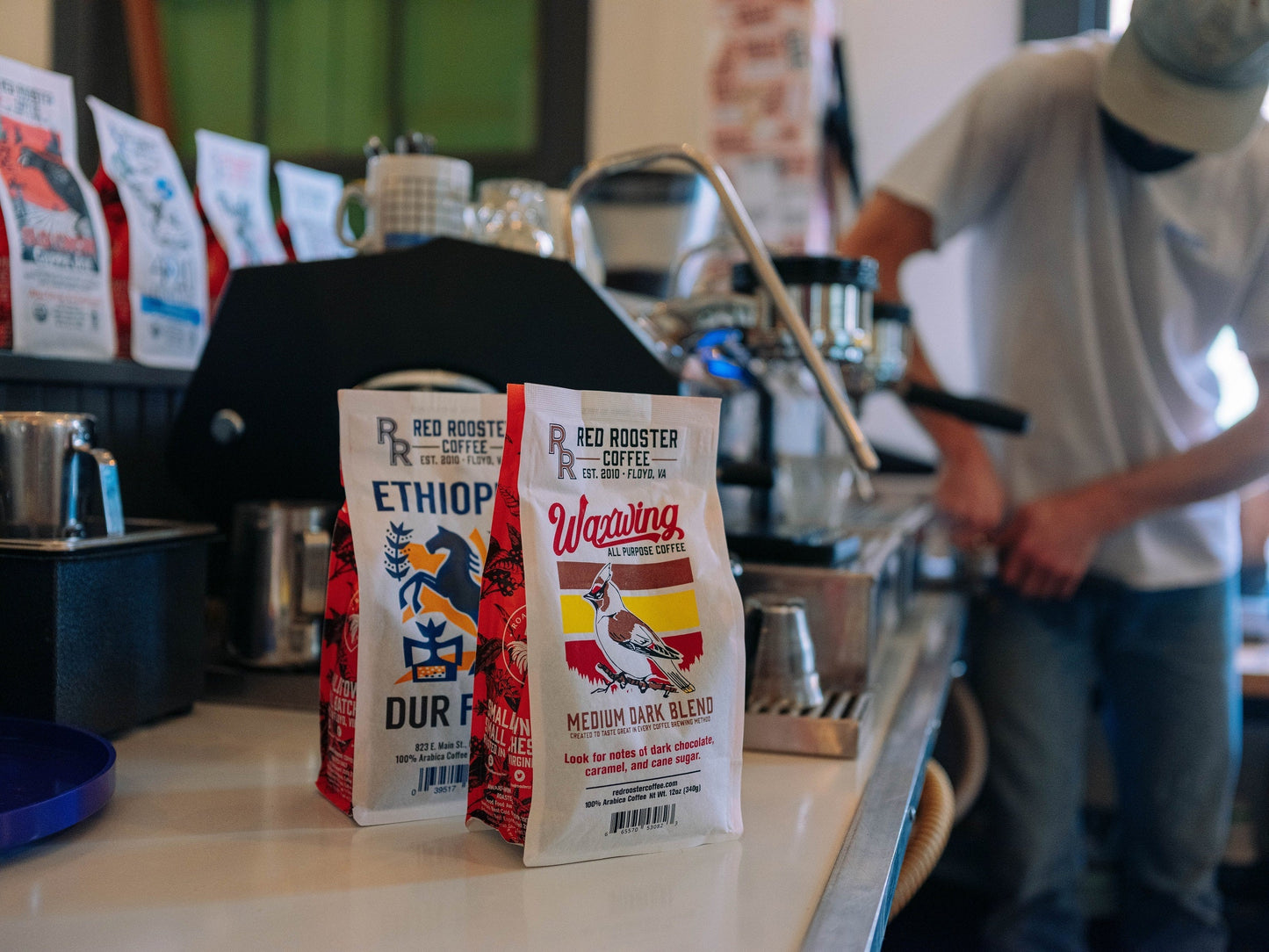 Waxwing All-Purpose Blend - Coffee Beans for Home and Office Brewing