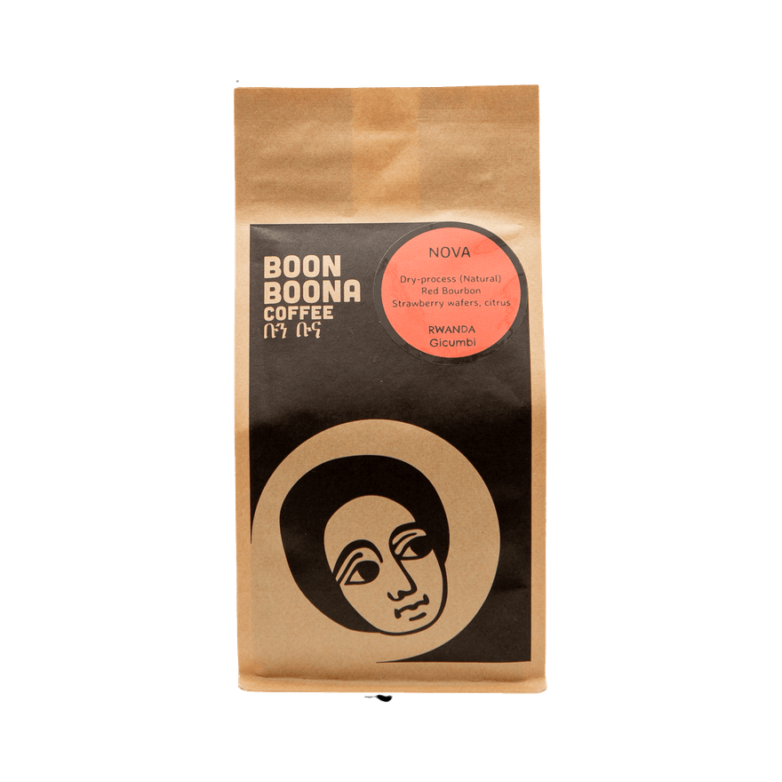 Nova 2 lb - Coffee Beans for Home and Office Brewing