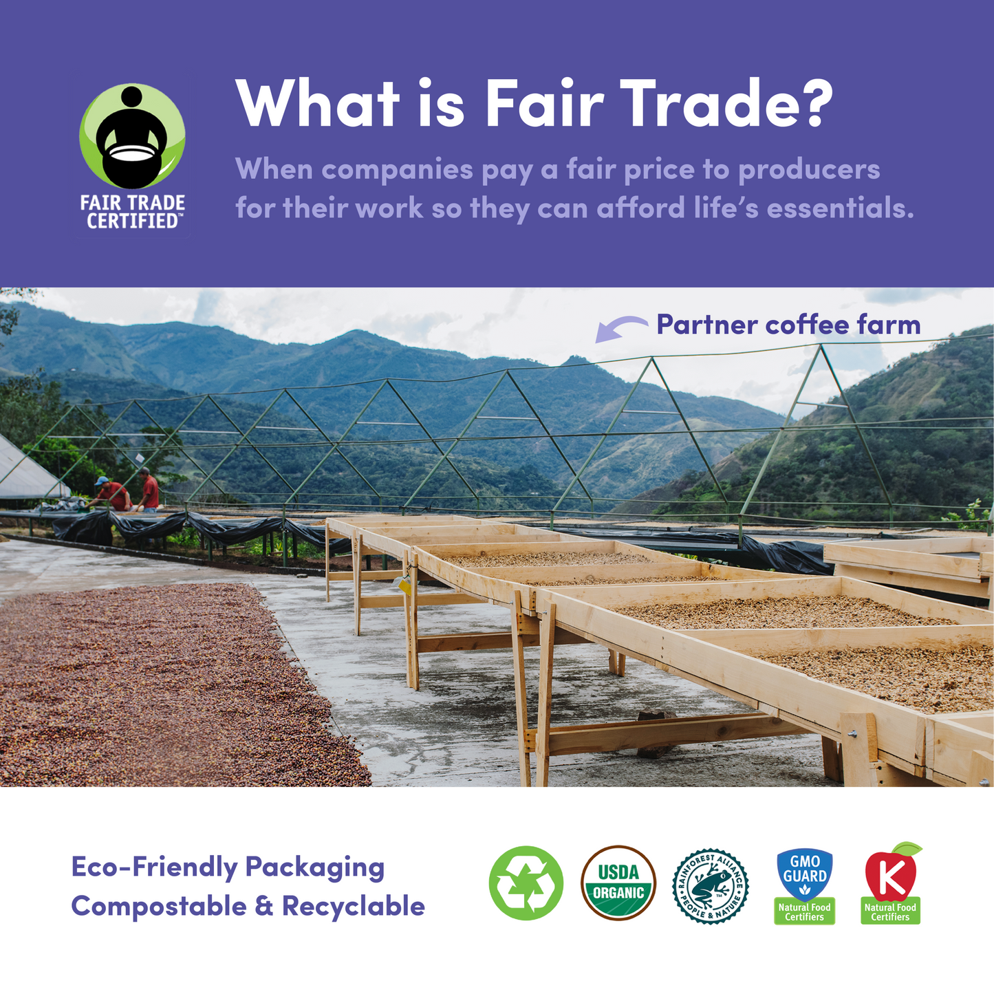Downtown Blend Organic & Fair Trade - Coffee Beans for Home and Office Brewing