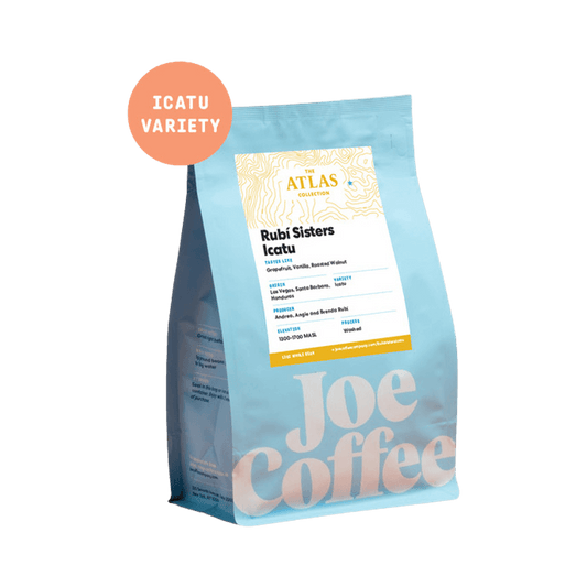 Rubi Sisters Icatu 12 oz - Coffee Beans for Home and Office Brewing